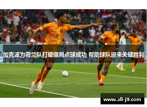 加克波为荷兰队打破僵局点球成功 帮助球队迎来关键胜利