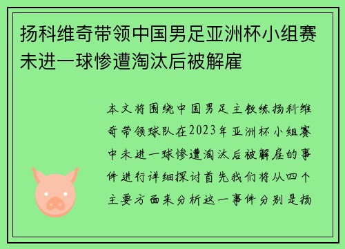 扬科维奇带领中国男足亚洲杯小组赛未进一球惨遭淘汰后被解雇 扬科维奇带领中国男足亚洲杯小组赛未进一球惨遭淘汰后被解雇
