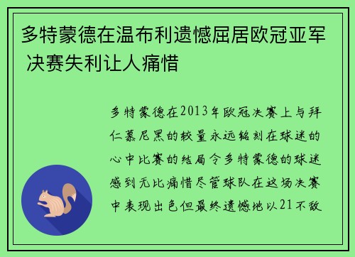 多特蒙德在温布利遗憾屈居欧冠亚军 决赛失利让人痛惜 多特蒙德在温布利遗憾屈居欧冠亚军 决赛失利让人痛惜